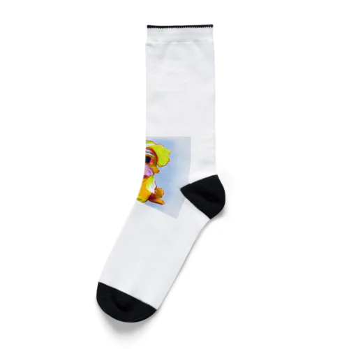 可愛いマルチーズグッズ Socks