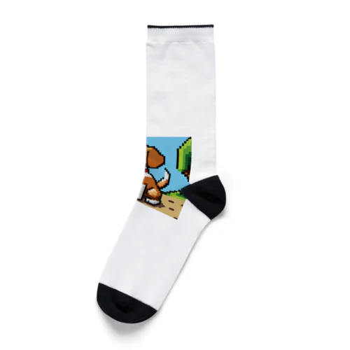 ビーグルだよ Socks