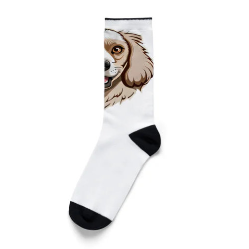 まっすぐな犬 Socks