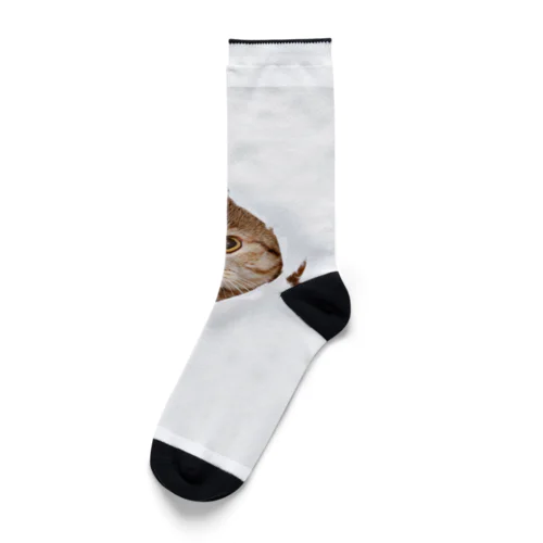 White Free Cute Funny Cat T-shirt Socks