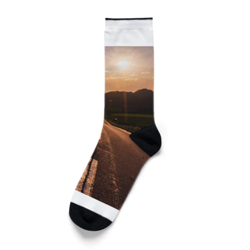 夕陽の向こうは Socks