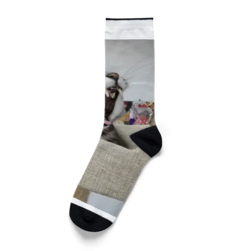 大怪獣 Socks