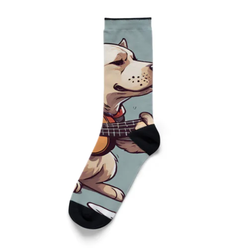 ギタわん Socks