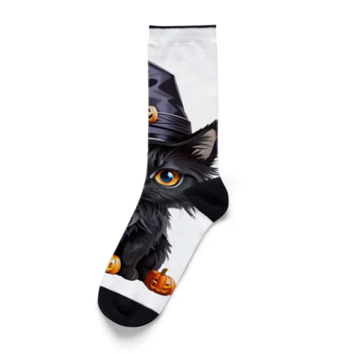 魔女っ子ねこ Socks