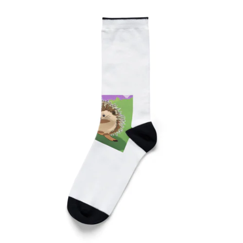 イラストハリネズミグッズ Socks