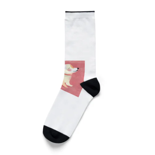 可愛い犬のグッズ Socks