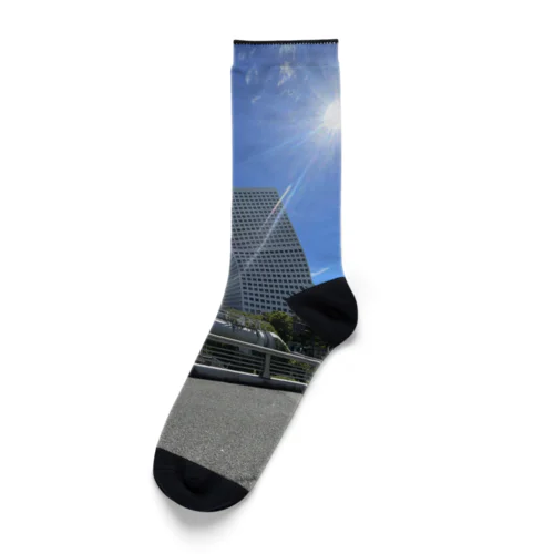 ビルの写真 Socks