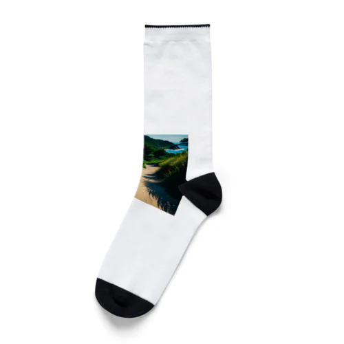 綺麗な道、海の楽園へグッズ Socks