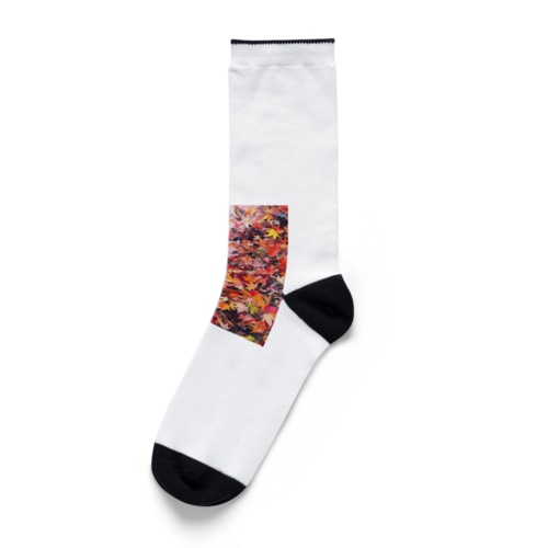 枯葉三昧、秋一色 Socks