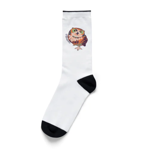 きゅんNORI P Socks