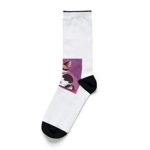 かわいい　三毛猫　グッズ Socks