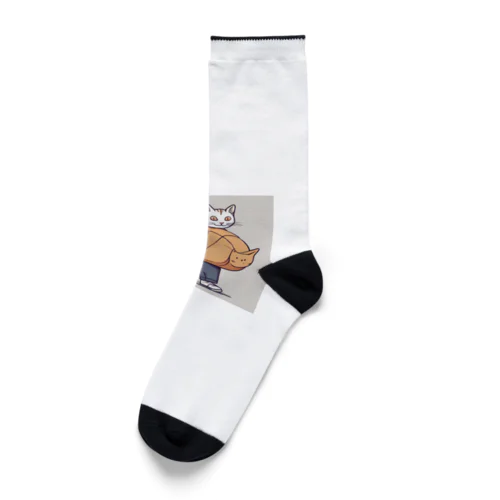 不思議猫 Socks