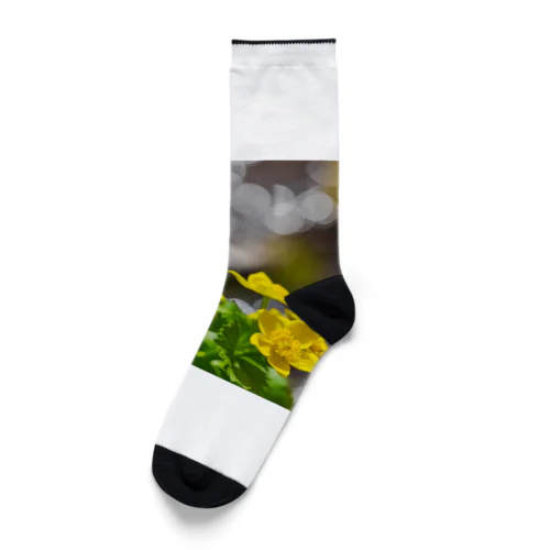 ヤチブキの輝き Socks