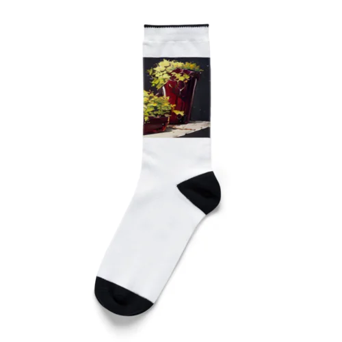 無添加ジャンクフード Socks