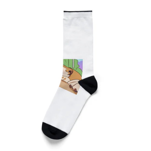 やる気のない犬 Socks