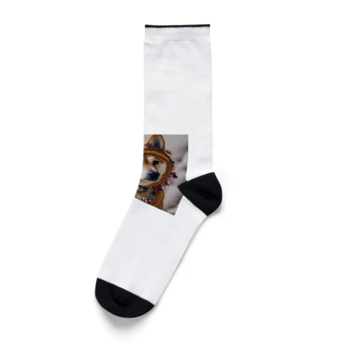 可愛い♡柴犬 Socks