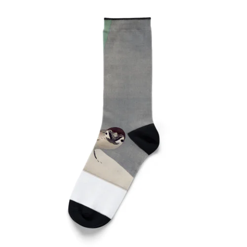 雪中竹、神坂雪佳、1909年 Socks