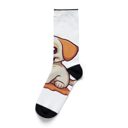 フレンドリーデザインドッグハウス Socks