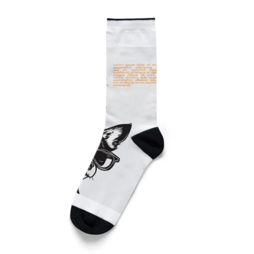 犬（眼鏡） Socks