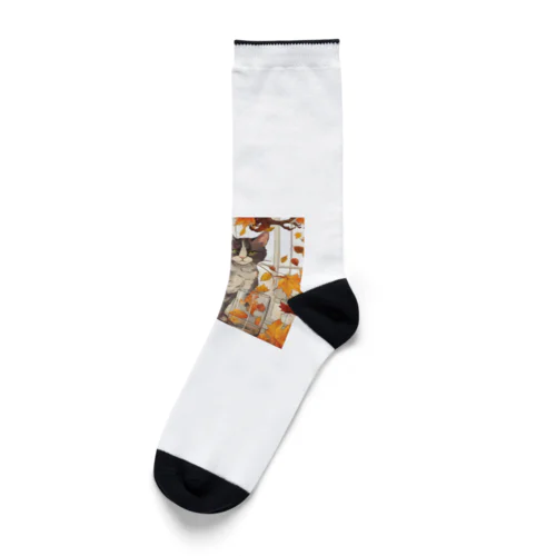 窓辺に猫 Socks