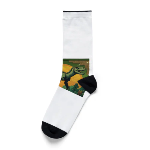 恐竜⑫ Socks