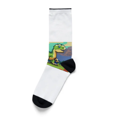 恐竜㉘ Socks