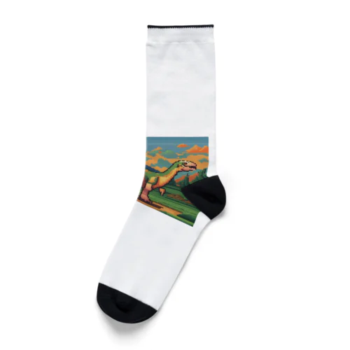 恐竜㉚ Socks