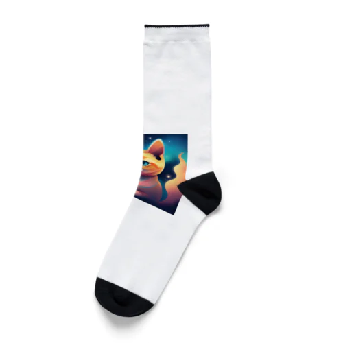 夜空を見つめる猫 Socks