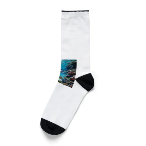 少女と熱帯魚 Socks