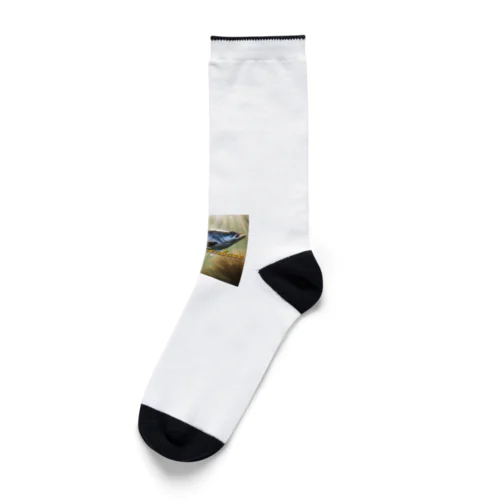 荒磯の王者　ヒラスズキ Socks