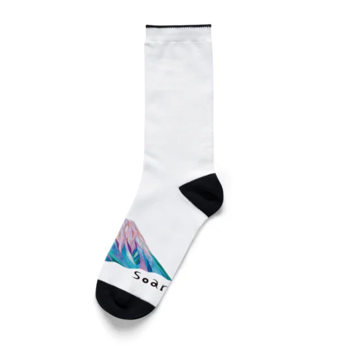 fuji T Socks