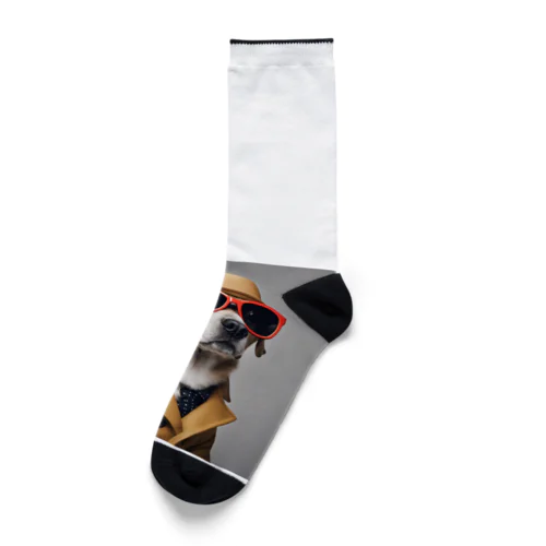 おしゃれな犬 Socks