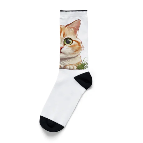 ねこのまちまち Socks