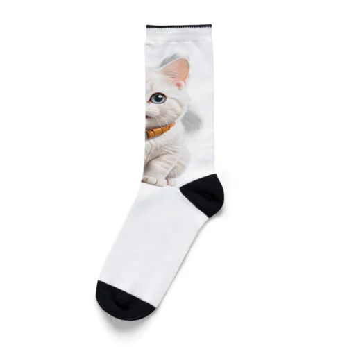 ねこのしろたま Socks