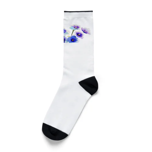 フラワーイラスト 朝顔 Socks