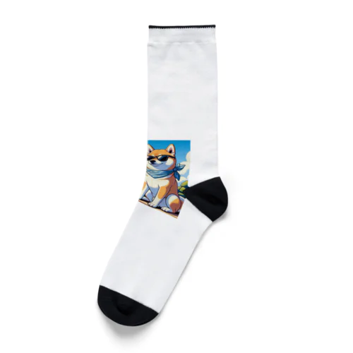 サングラス犬　【銀次郎】 Socks