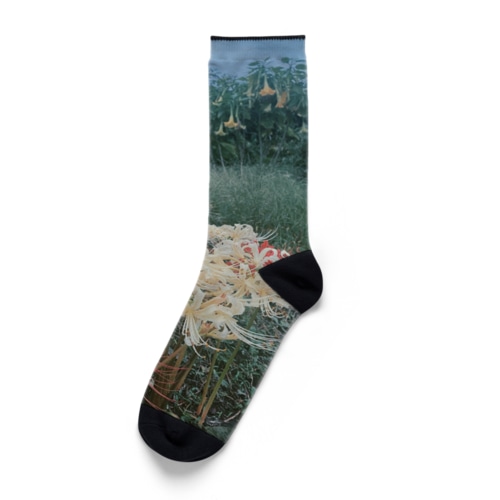 曼珠沙華 Socks