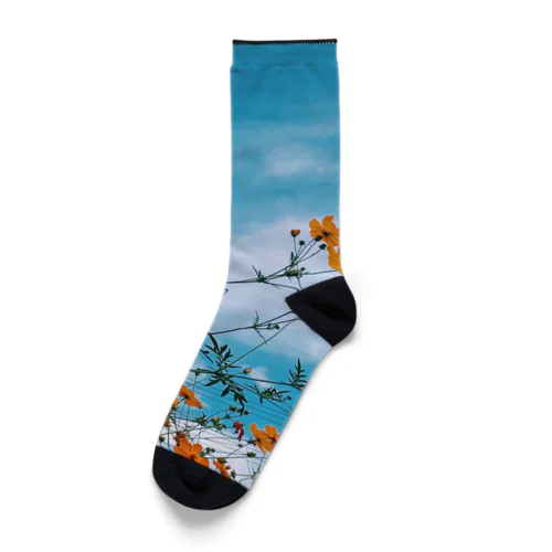 無邪気な花たち Socks