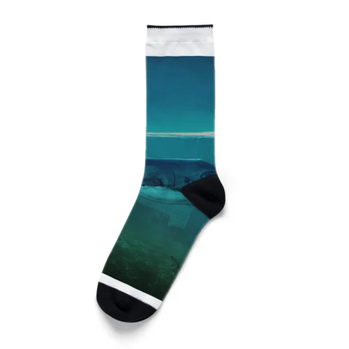 シロナガスクジラと海に沈んだ都市 Socks