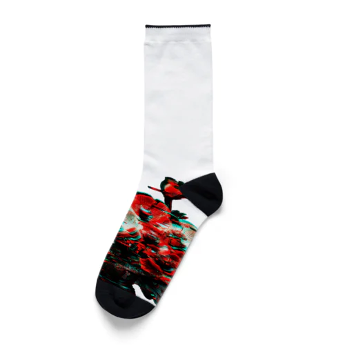 POPPY_GLITCH Socks