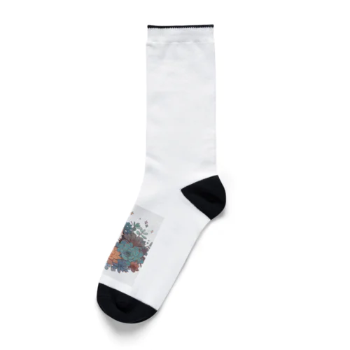 猫と多肉 Socks