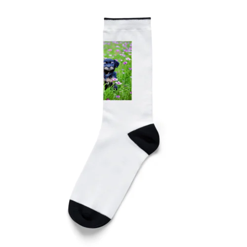 コスモス畑の癒し Socks