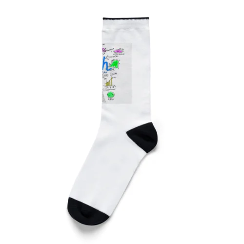 まてまてぃか Socks