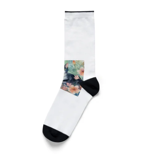 花と猫 Socks