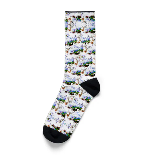 プール仕舞い模様 Socks