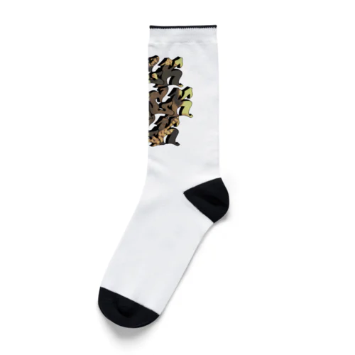 HCS Socks