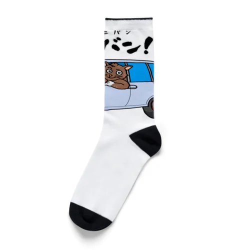 ネコに小(ミニ)バン（淡色用） Socks