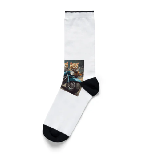 猫の暴走族 Socks