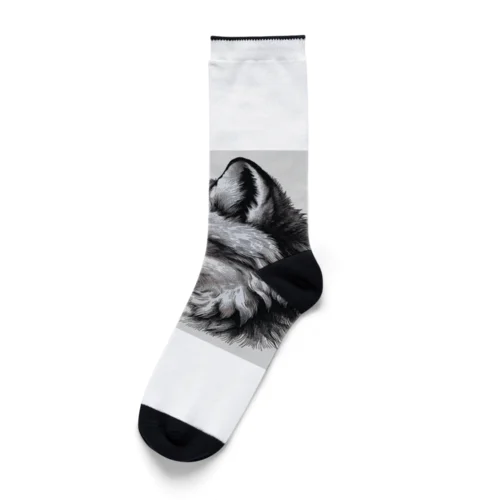 猫耳工房 Socks