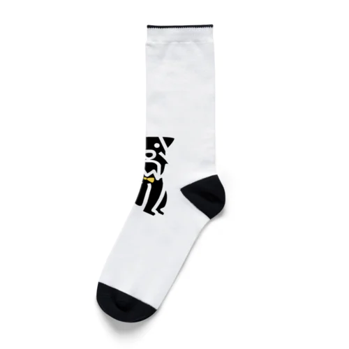 ミニチュアシュナウザー  ブラック Socks